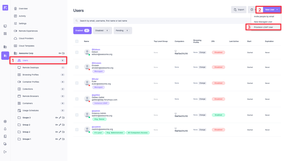 New User > Provision LDAP User button