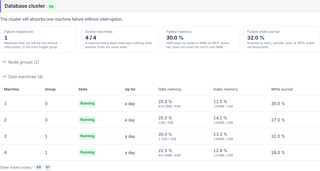 ../../_static/images/instance/health/instance_healthcheck_database_cluster_nodes_en.png