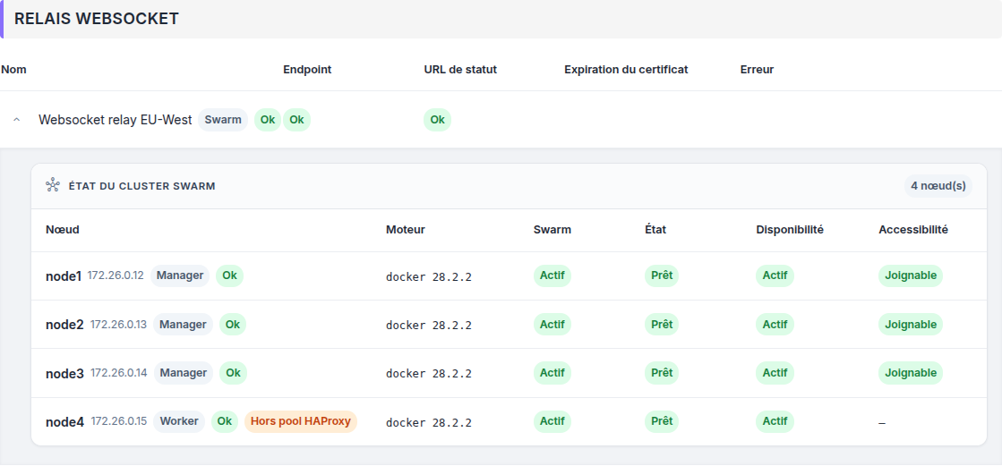 ../../_static/images/instance/health/instance_healthcheck_relay_nodes_fr.png